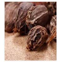 Manufacturers Exporters and Wholesale Suppliers of Black Cardamom Thiruvalla Kerala